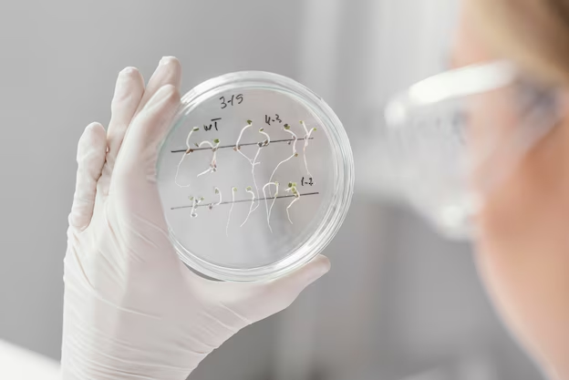 Innovadora estética regenerativa: El futuro de la belleza con células madre